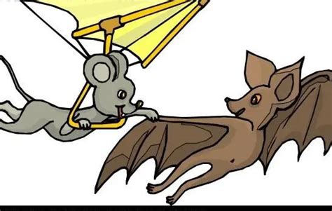 夢到老鼠代表什麼 蝙蝠是吉祥物嗎